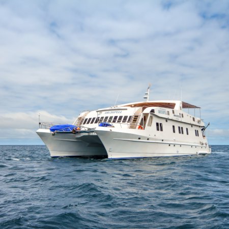 Galapagos Islands Cruise