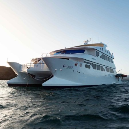 Galapagos Islands Cruise