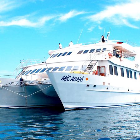Galapagos Islands Cruise