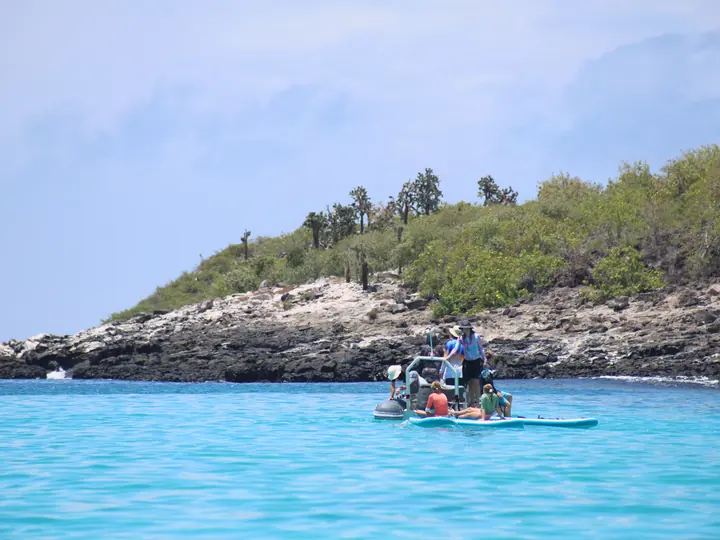 Snorkelling from a panga beside a cactus-covered islet, Santa Fe