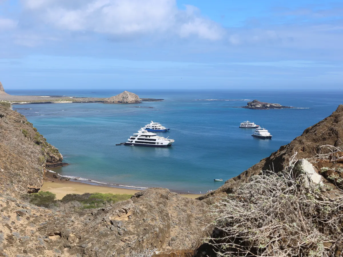 Cruise yachts anchored in a bay, seen from the cliff trail, San Cristóbal, Galápagos