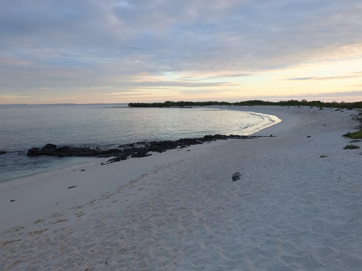 A white-sand beach at dawn, Galápagos