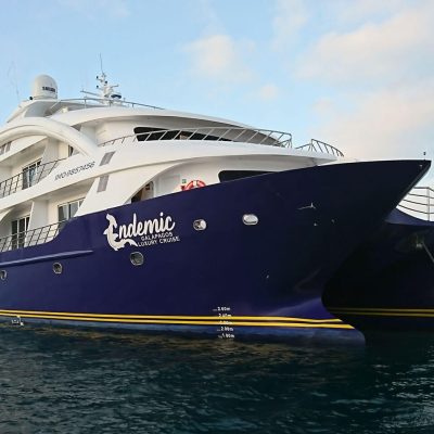 Endemic-Galapagos-Catamaran.jpg