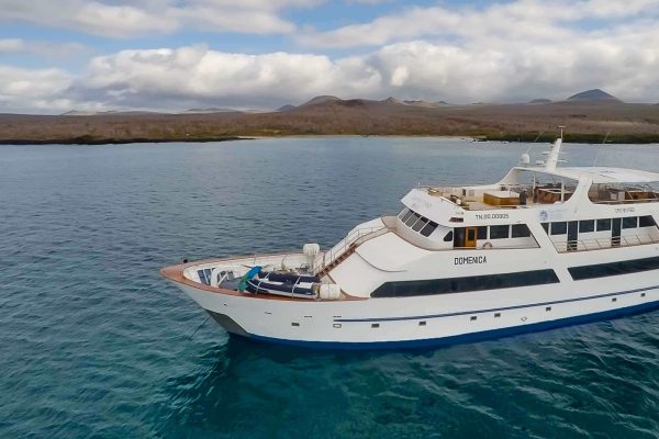 Sea-Star-Journey-Galapagos-Yacht.jpg