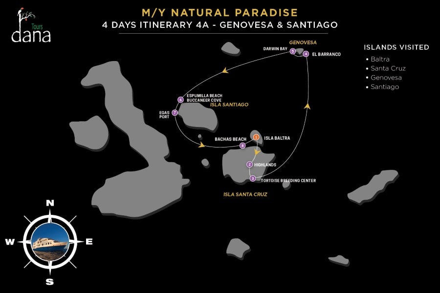 MY Natural Paradise 4 Days Itinerary 4A - Genovesa &amp; Santiago
