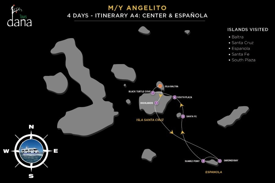Angelito 4 Days - A4 Center & Española