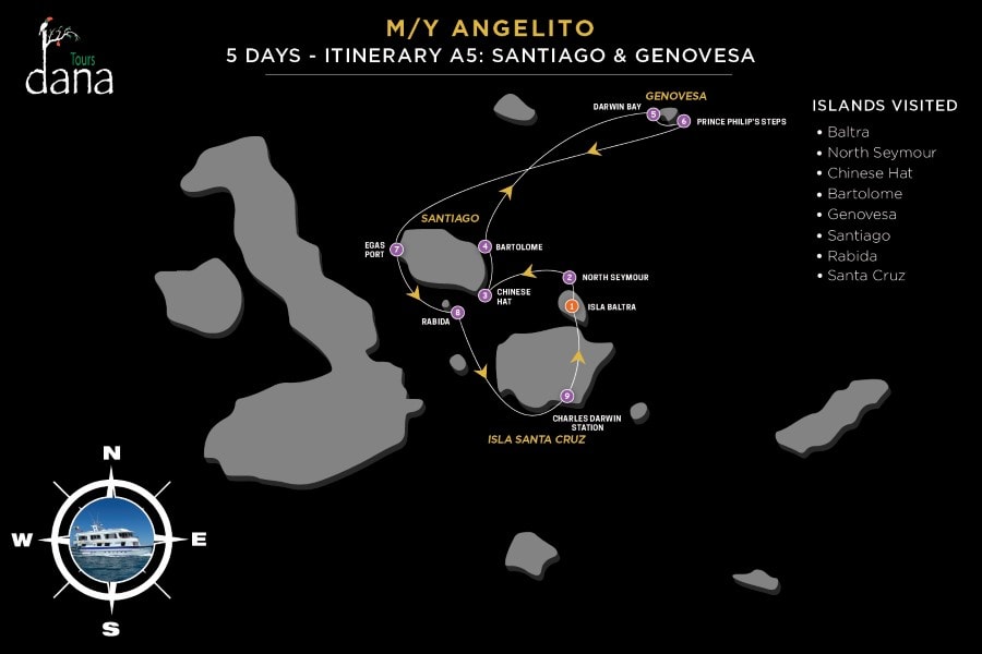 Angelito 5 Days - A5 Santiago &amp; Genovesa