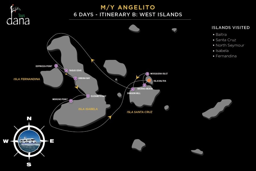 Angelito 6 Days - B West Islands