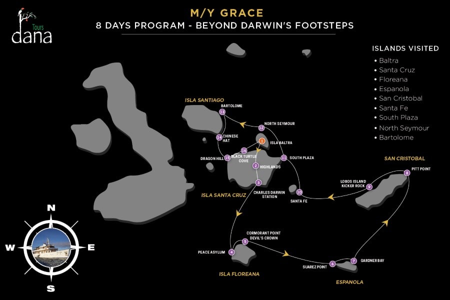 Grace 8 Days Program - Beyond Darwin's Footsteps