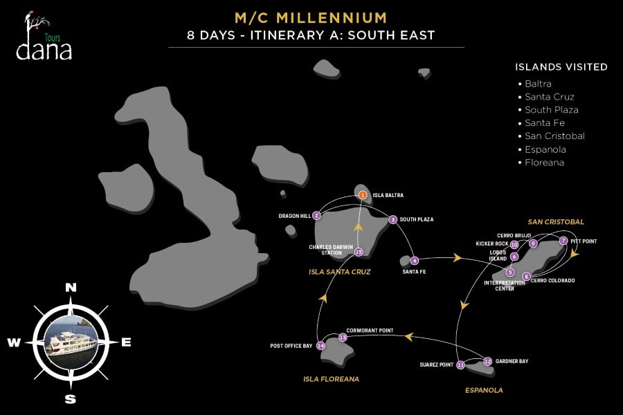 Millennium 8 Days - A South East