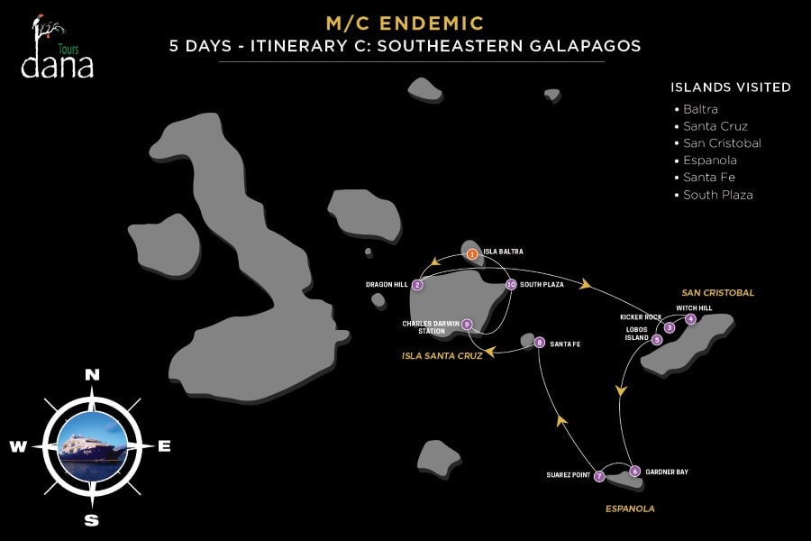 Endemic 5 Days - C Southeastern Galapagos