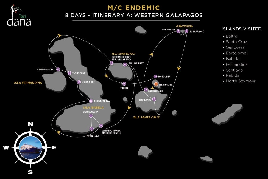 Endemic 8 Days - A Western Galapagos